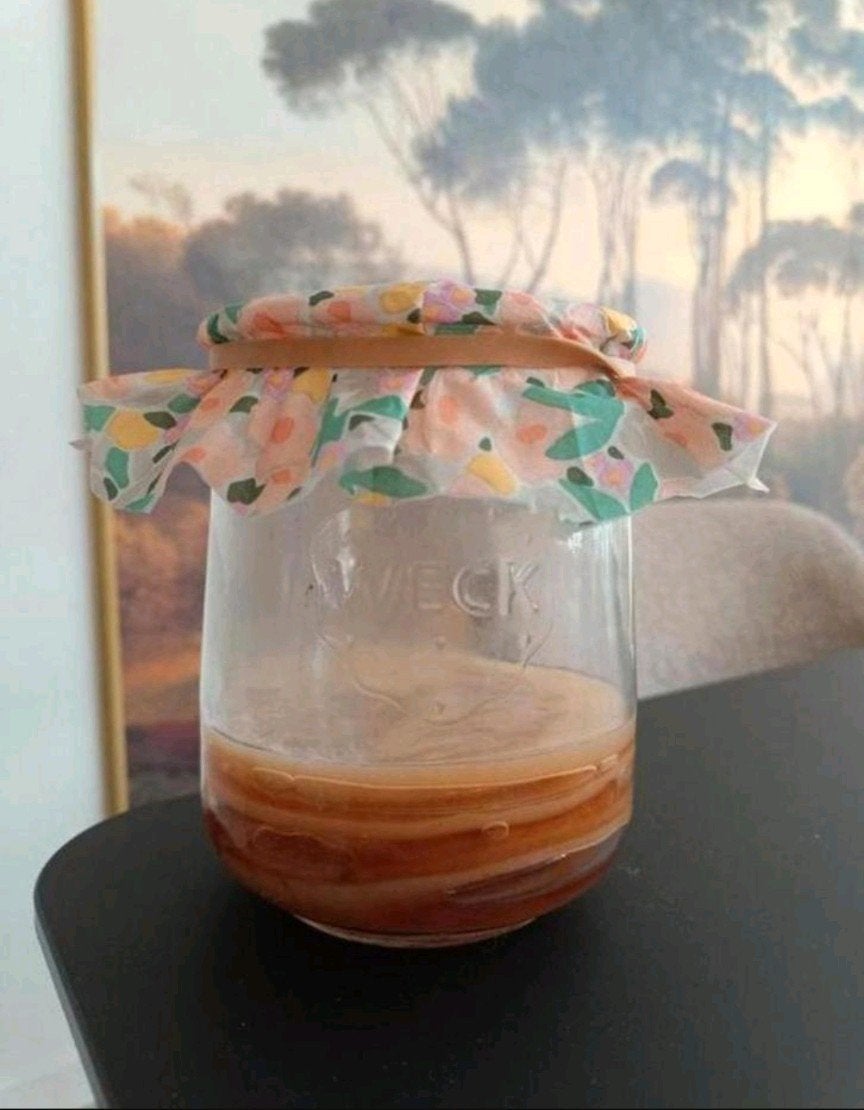 Kombucha scoby incl. startersvloeistof, Ophalen
