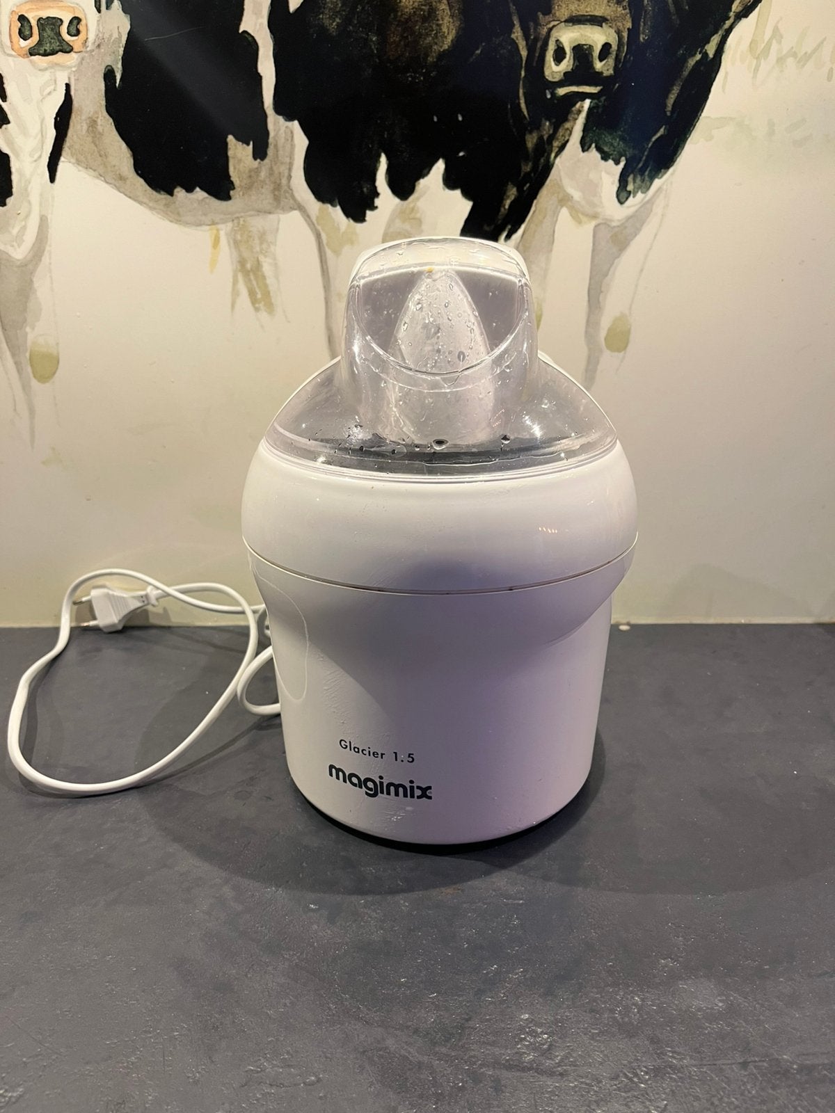 Magimix ijsmachine, Witgoed en Apparatuur, Ophalen of Verzenden, Zo goed als nieuw, Koelelement
