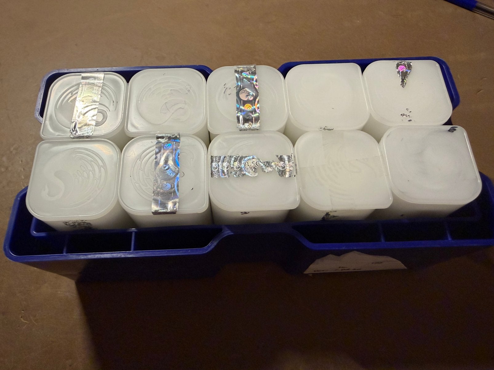 Monsterbox Kangaroo 250x 1 Oz div jaren, Verzenden, Zilver