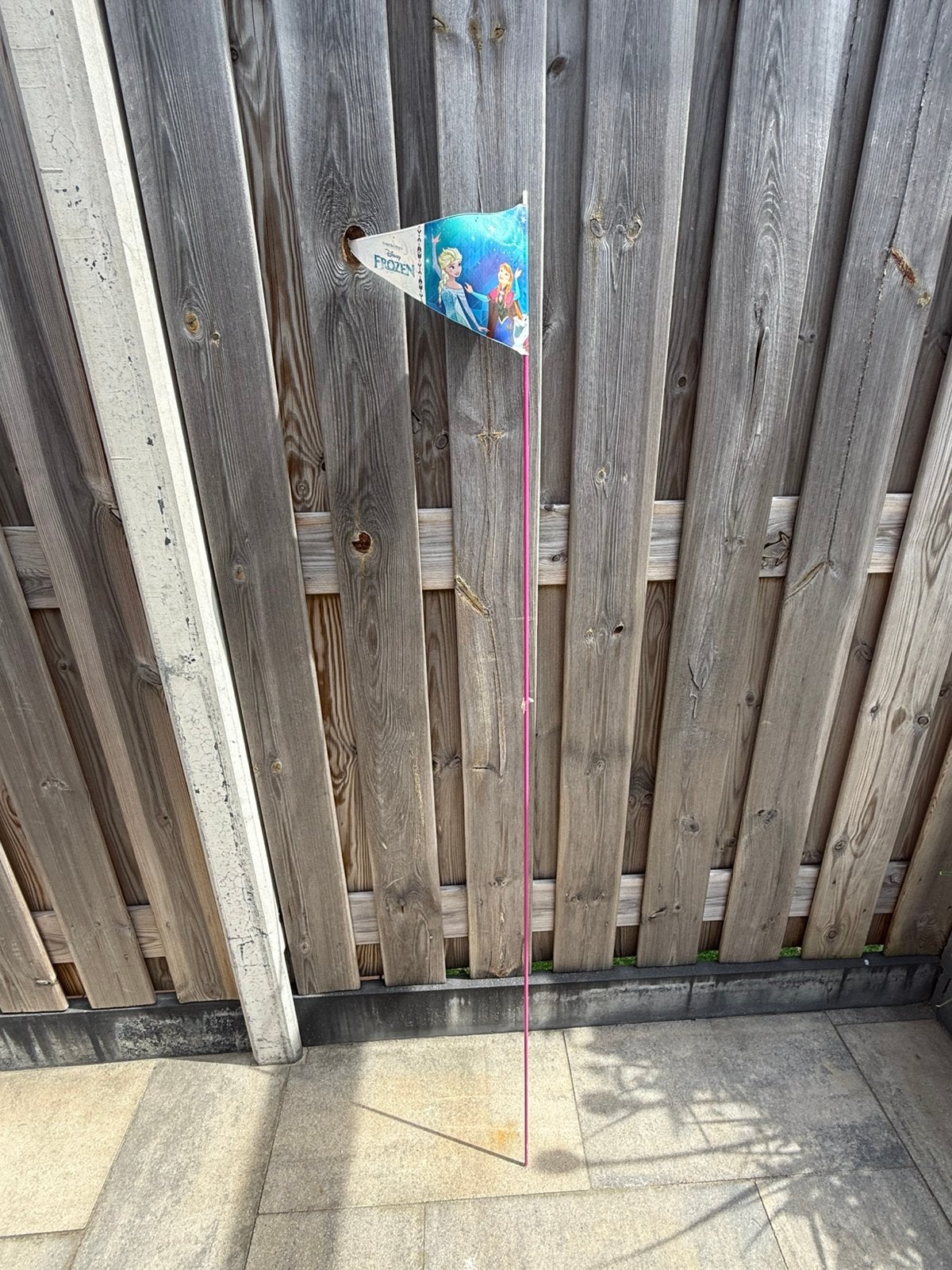 Fiets vlag Frozen, Ophalen, Zo goed als nieuw, Jongen of Meisje