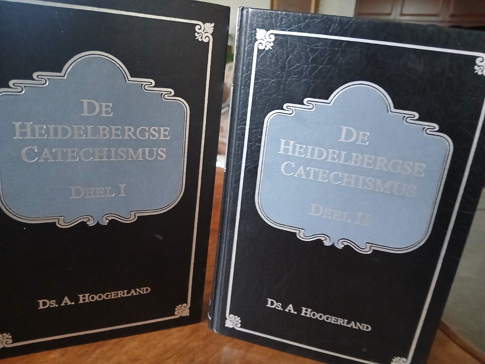 De Heidelbergse Catechismus  2 dln. Ds.A.Hoogerland.  WD015, Boeken, Ophalen of Verzenden, Gelezen
