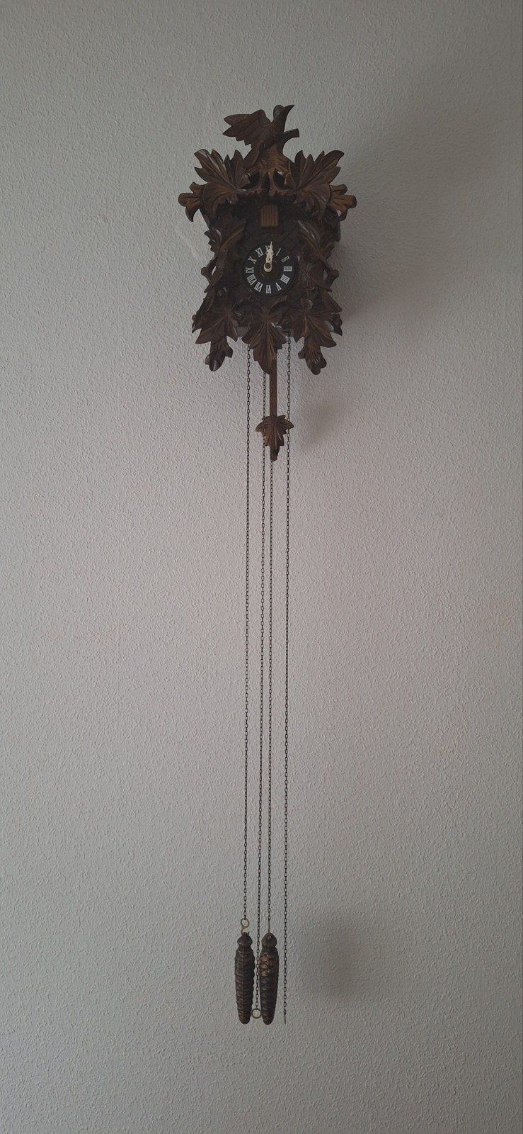 Kleine Koekoeksklok - Decoratief met onderhoud nodig, Ophalen