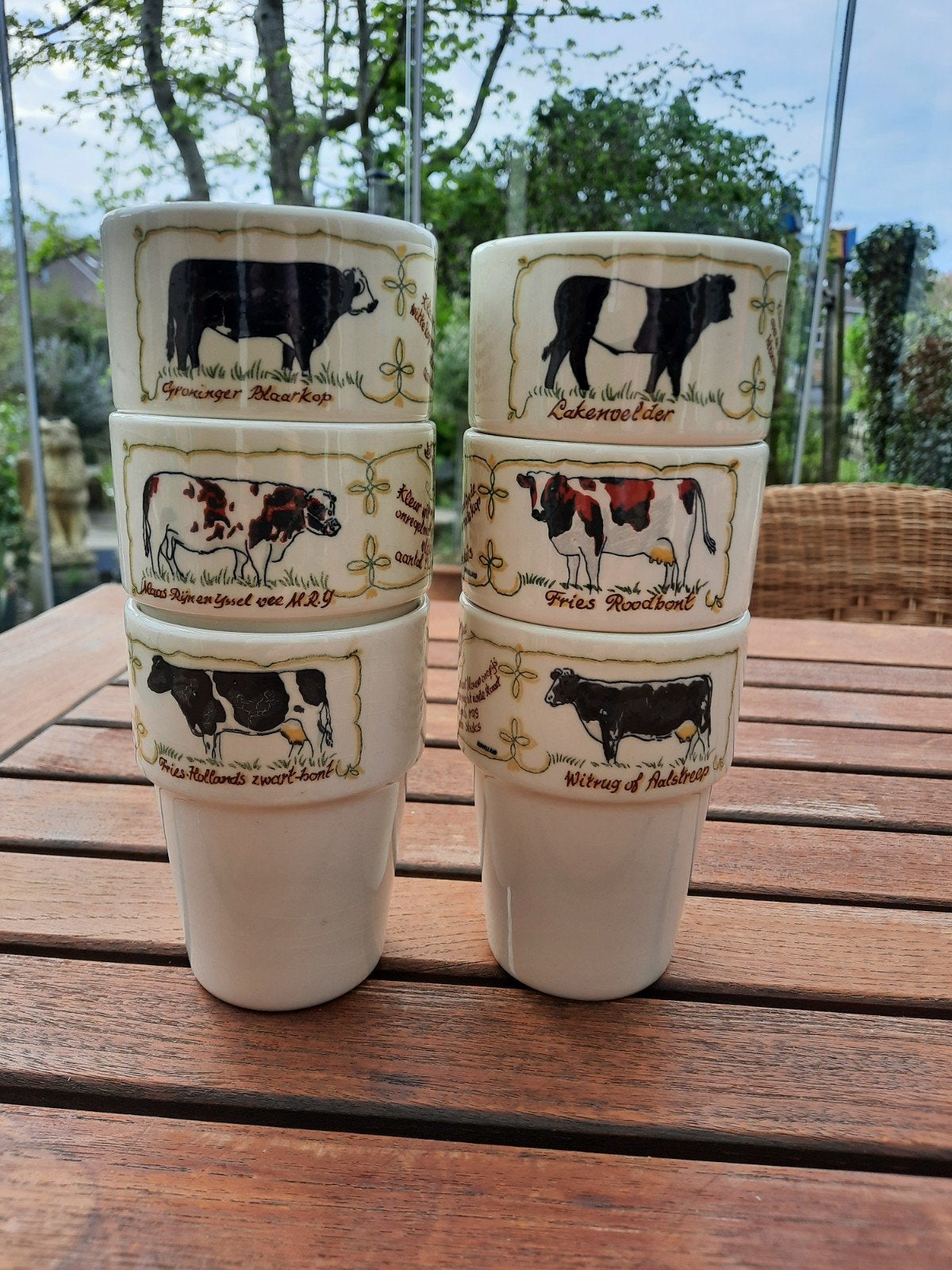 Set van 6 melkbekers Pagnossin Treviso Ironstone, Ophalen