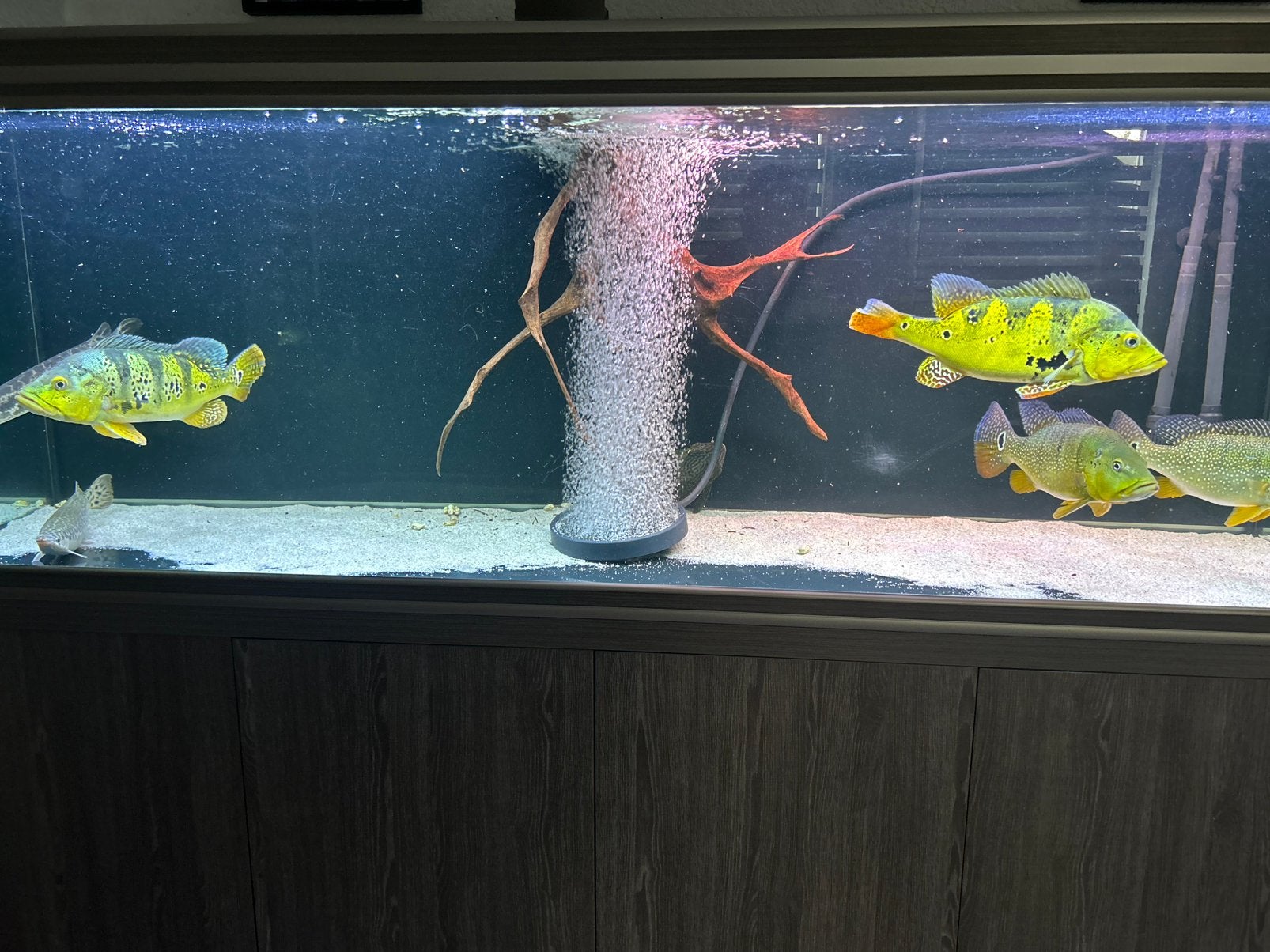 Aquatlantis aquarium, Dieren en Toebehoren, Vissen | Aquaria en Toebehoren, Gebruikt, Inclusief deksel, Aquatlantis, Ophalen of Verzenden