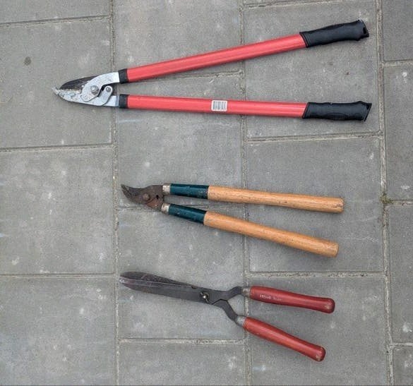 Diverse snoeischaren set, Tuin en Terras, Ophalen of Verzenden, Gebruikt
