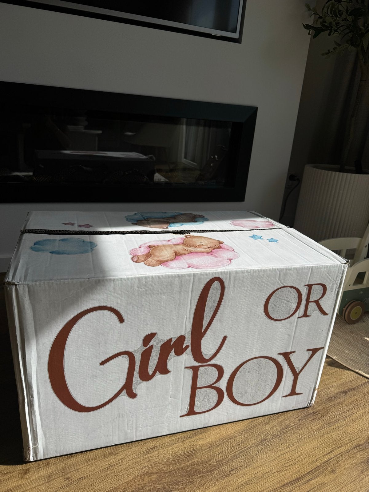 Gender reveal doos jongen of meisje onthulling, Ophalen, Gebruikt