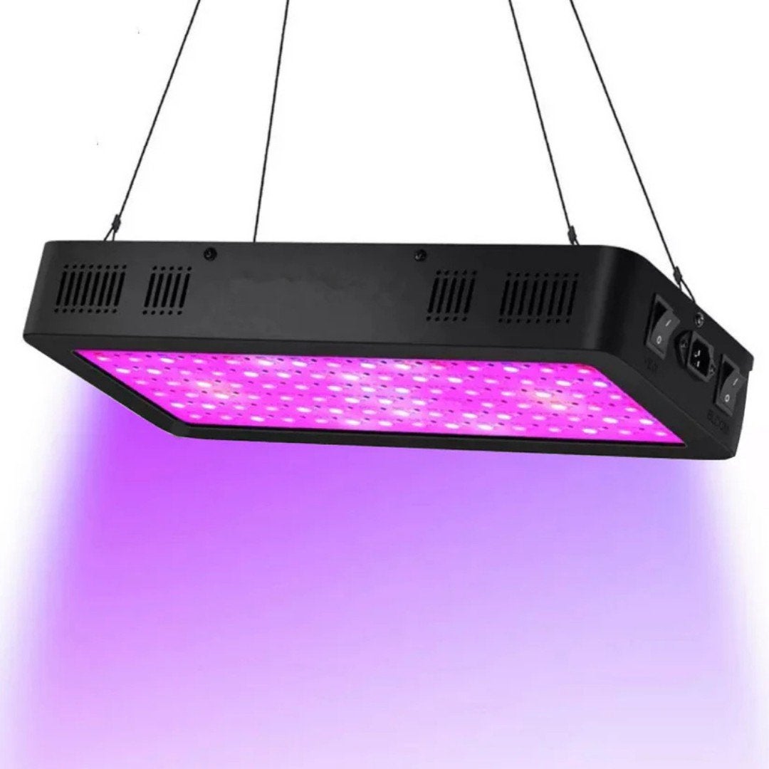 Kweeklamp Sunny Day met Vega en Bloem stand, Ophalen of Verzenden, Zo goed als nieuw, Kweeklamp
