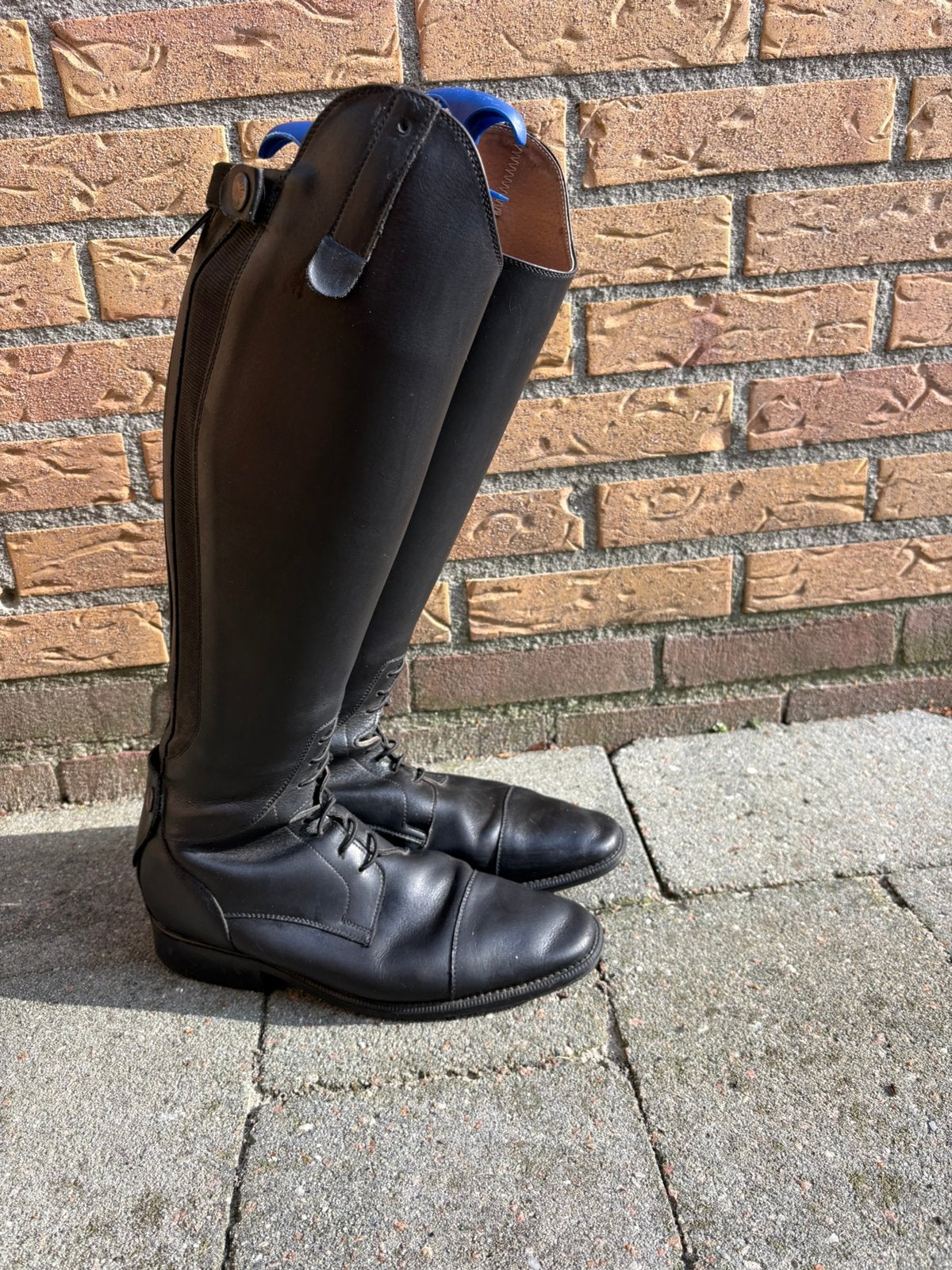 Petrie rijlaarzen maat 44 in zeer nette gedragen staat, Ritssluiting, Gebruikt, Dressuur, Dames