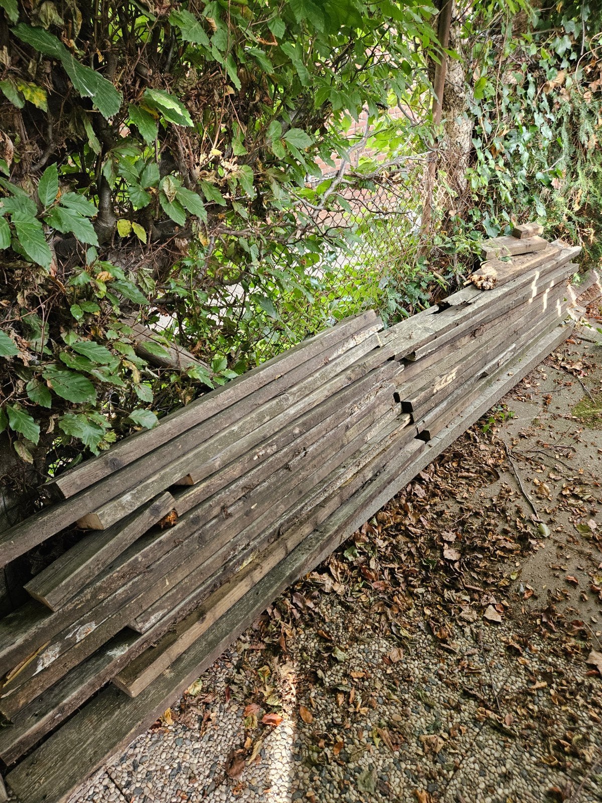 gratis brandhout, Tuin en Terras, Ophalen of Verzenden