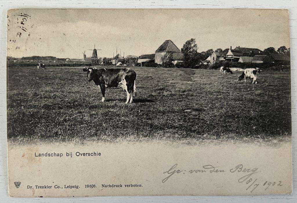 Oude Ansichtkaart - Overschie - Landschap bij Overschie, Ophalen of Verzenden, Voor 1920, Gelopen, Zuid-Holland