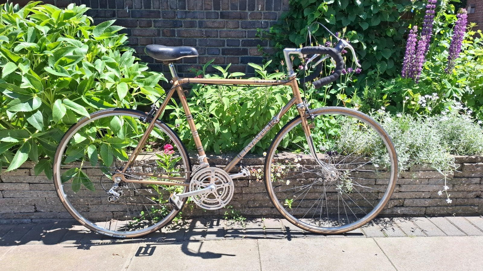 Batavus sprint vintage racefiets wielrenfiets fiets, 55 tot 59 cm, Ophalen