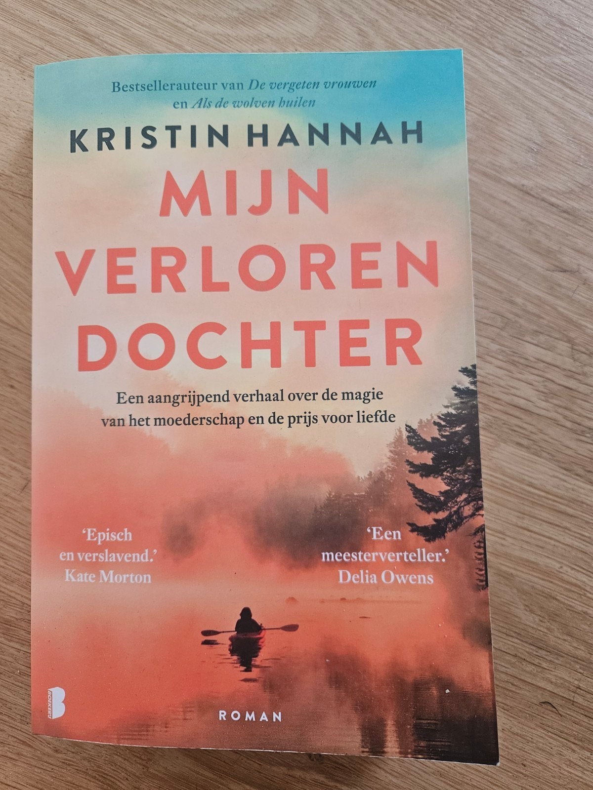 Mijn Verloren Dochter - Kristin Hannah (Roman), Ophalen of Verzenden, Gelezen, Kristin Hannah, Nederland