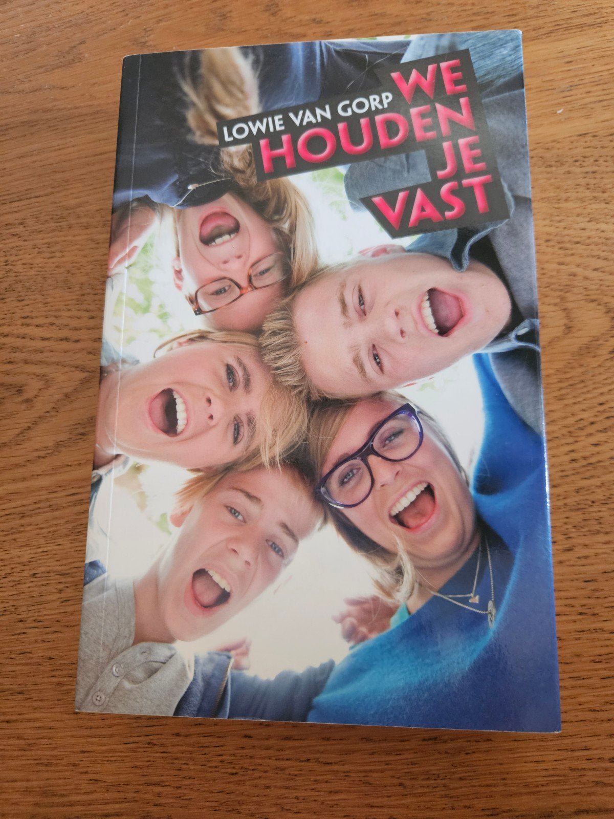 Lowie van Gorp/ 'We Houden je 'Vast, Ophalen of Verzenden, Zo goed als nieuw