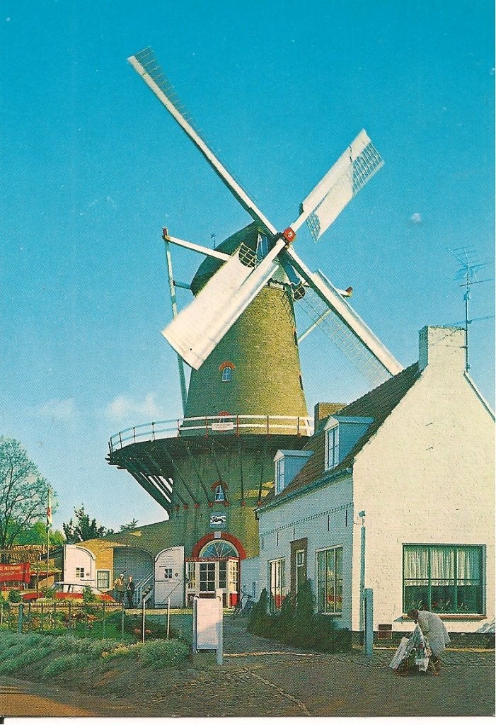 Ansichtkaart Sluis, Holland - Molen, Ophalen of Verzenden, 1960 tot 1980, Ongelopen, Zeeland