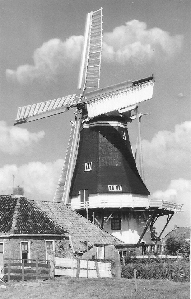 Oude ansichtkaart Westerwijtwerd korenmolen "Zeldenrust", Ophalen of Verzenden, 1960 tot 1980, Gelopen, Groningen