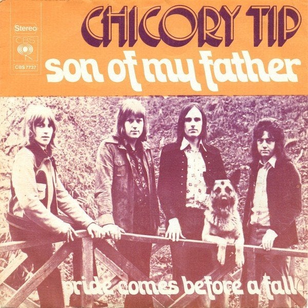 Chicory Tip - Son of my Father (Single), Gebruikt, 7 inch, Pop, Fotohoes