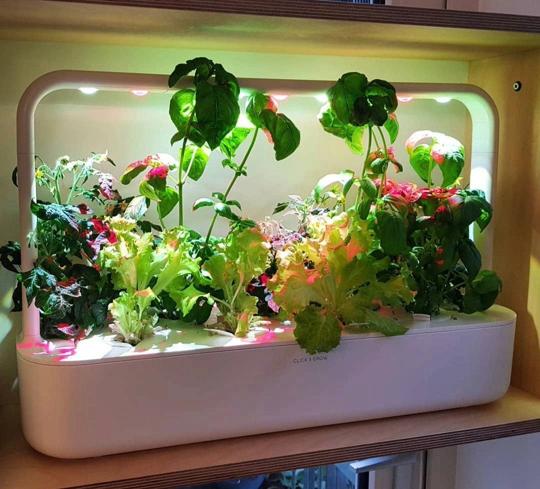 Click & Grow Smart Garden 9 - Slimme Binnenkweek, Ophalen of Verzenden, Zo goed als nieuw, Kweekbak