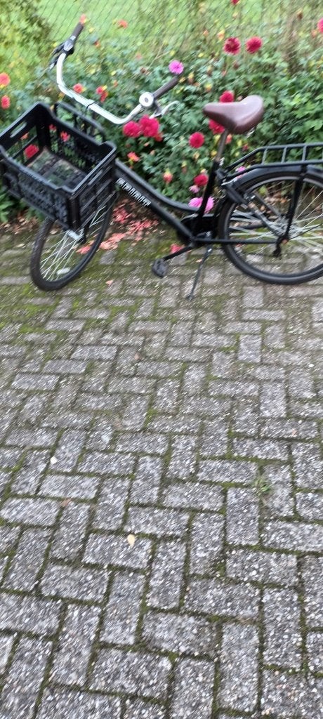 meisjes fiets, Gebruikt, Velgrem, Minder dan 47 cm, Ophalen