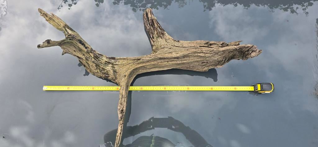Decoratief drijfhout stuk - uniek en natuurlijk, Dieren en Toebehoren, Ophalen, Gebruikt