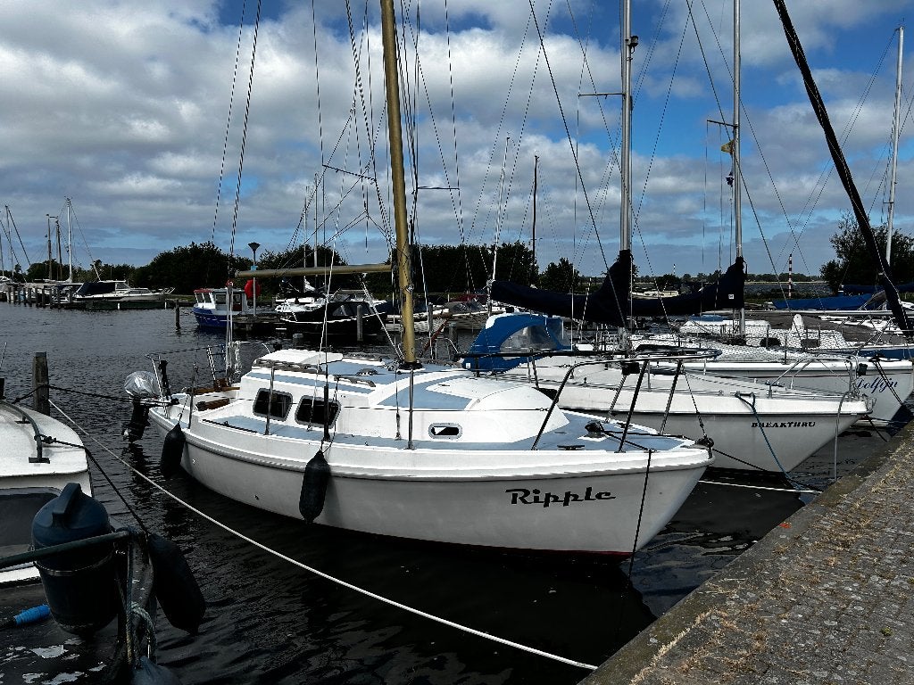 Project Seamaster 23 zeilboot met kajuit., Watersport en Boten, Zeilen en Zeiltoebehoren, Ophalen, 6 meter of meer, Gebruikt, Overige typen