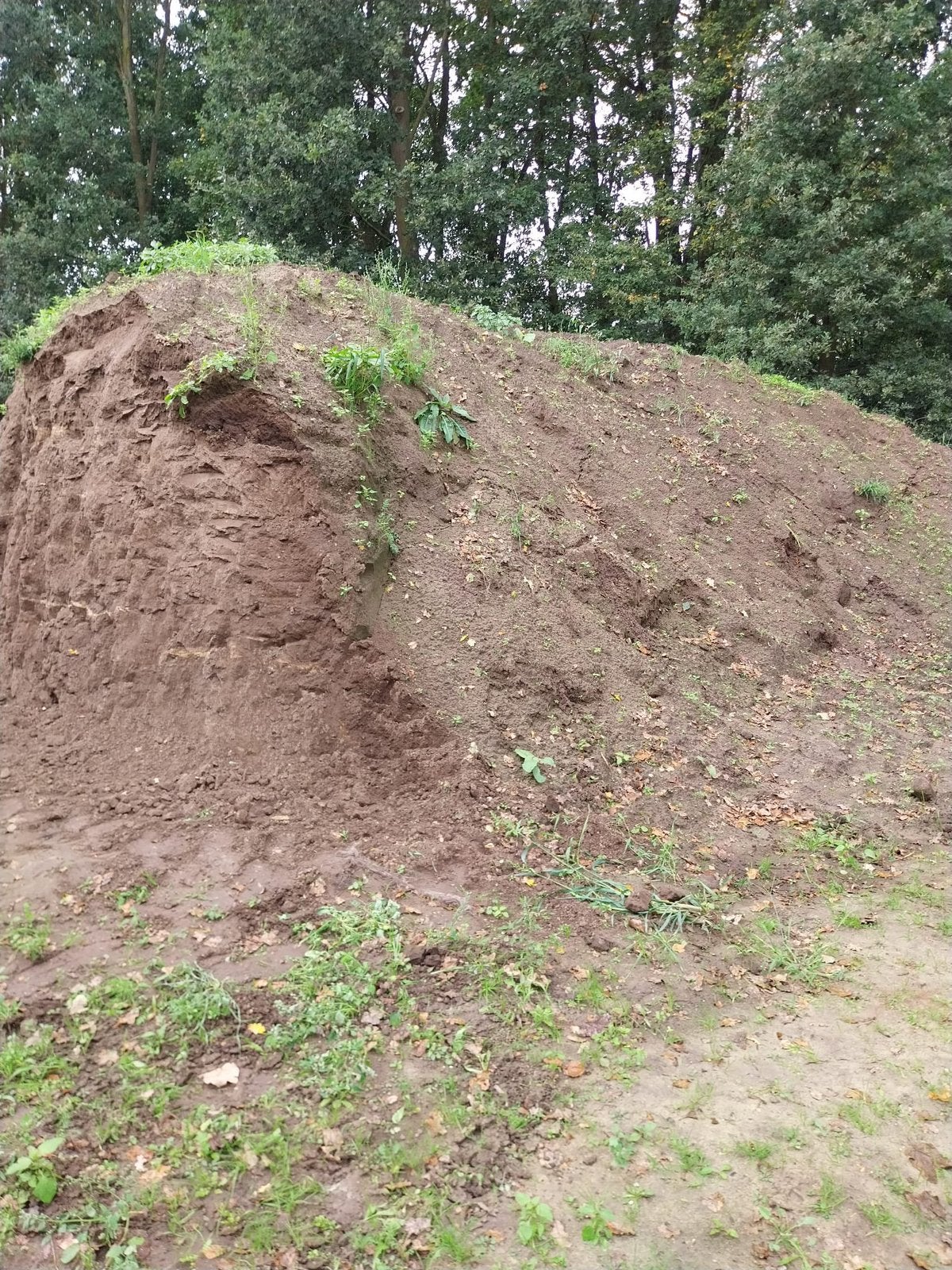 Gratis ophoogzand - goed zand . bodemonderzoek.Meterik, Tuin en Terras, Ophalen, Tuinaarde