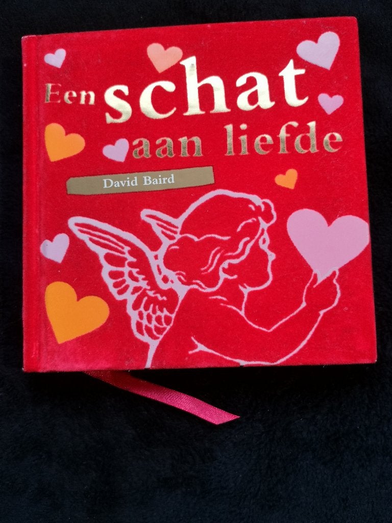 David Baird, Een schat aan liefde, Boeken, Filosofie, Ophalen of Verzenden, Zo goed als nieuw