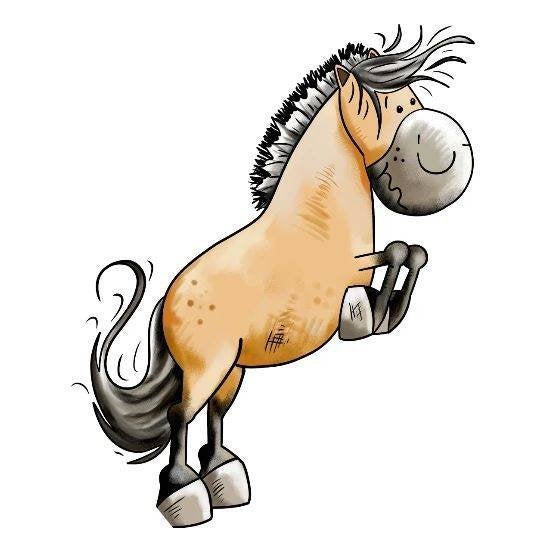 Gezocht weidegang voor 1 of 2 paarden, Weidegang, 1 paard of pony