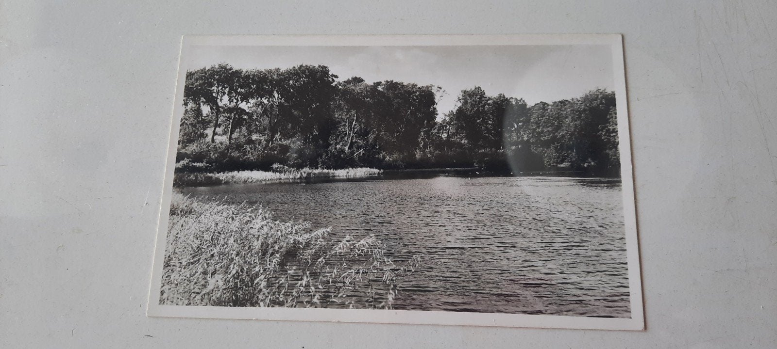 Ansichtkaart Overveen, Brouwerskolkje., Ophalen of Verzenden