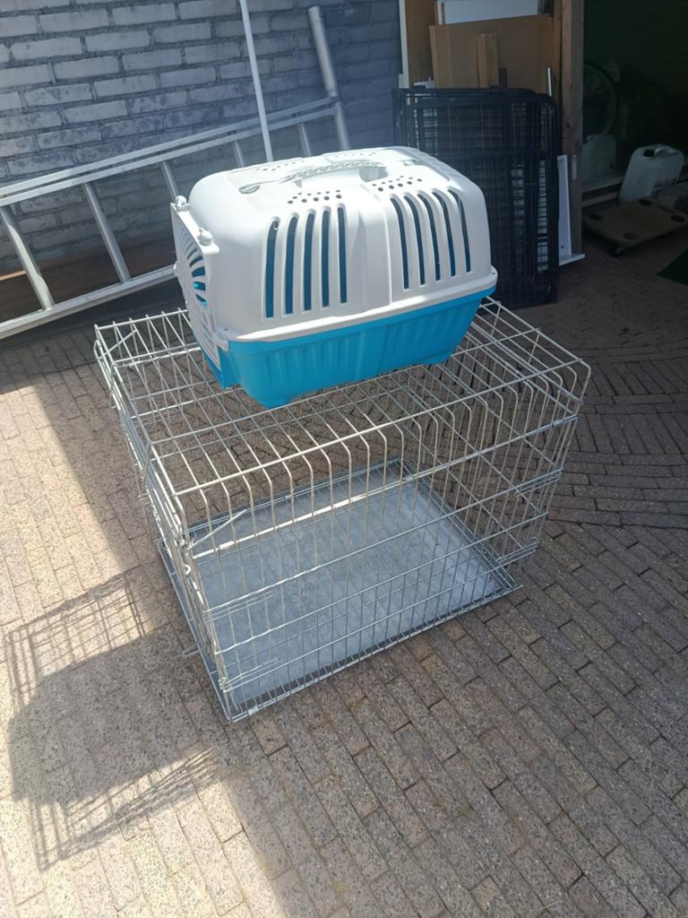 Honden bench, Dieren en Toebehoren, Hondenhokken, Ophalen, 75 tot 110 cm, Minder dan 65 cm