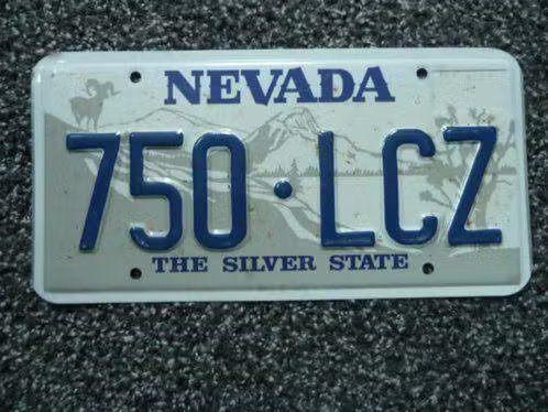 Kentekenplaat licenseplate Nevada Silver State 1 USA, Verzenden, Gebruikt, Auto's