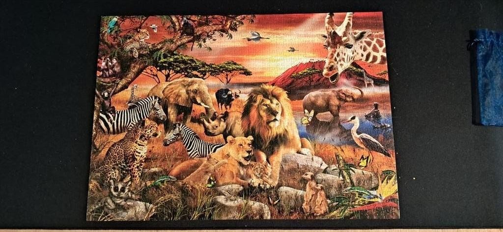 The Big Five, Ophalen of Verzenden, 500 t/m 1500 stukjes, Zo goed als nieuw