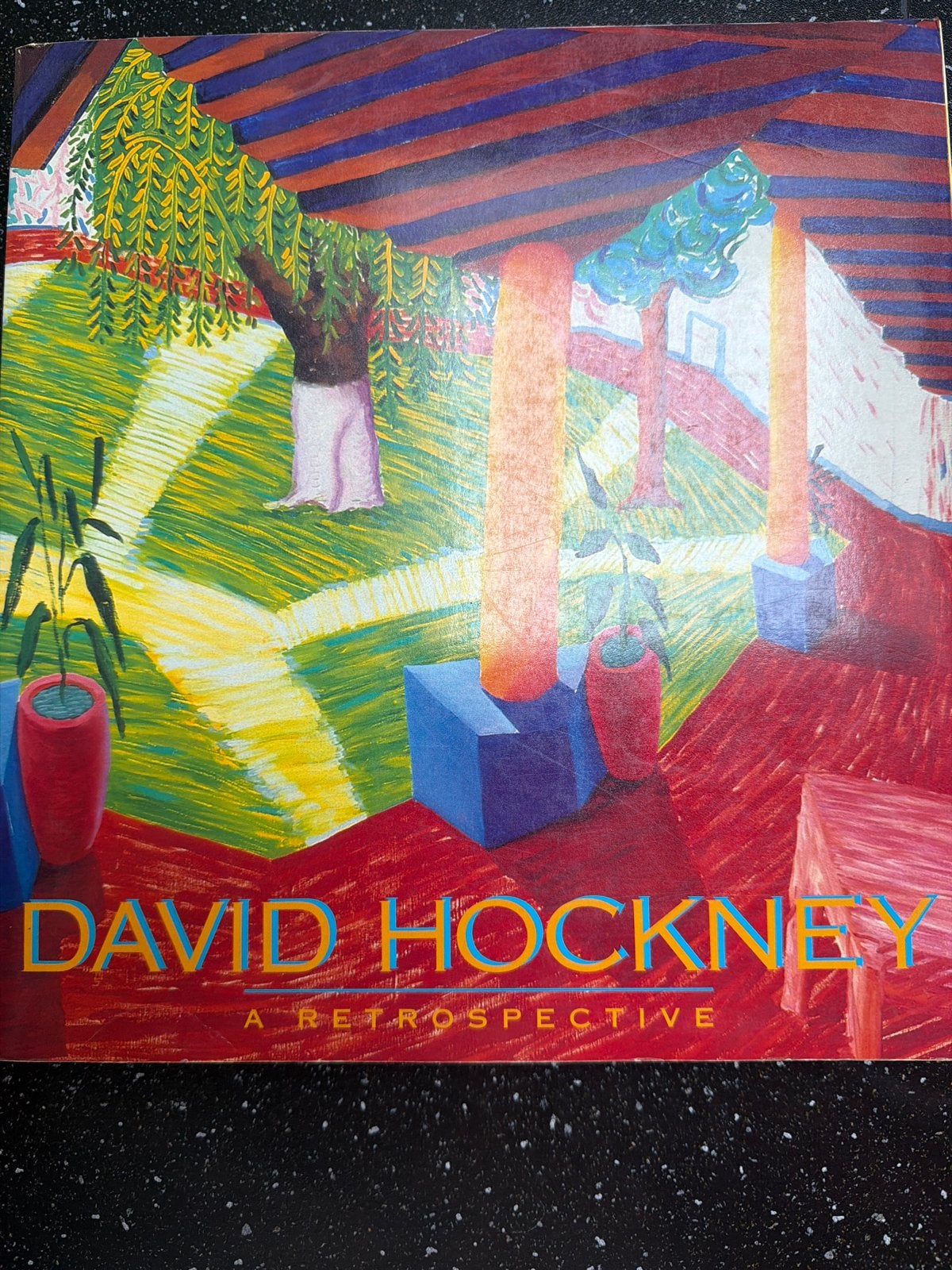 David Hockney: A Retrospective - Kunstboek, Ophalen of Verzenden, Zo goed als nieuw, Schilder- en Tekenkunst