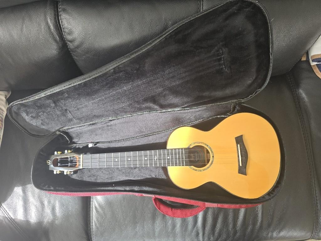 Ukulele, Muziek en Instrumenten, Ophalen of Verzenden, Zo goed als nieuw, Overige typen, Met koffer