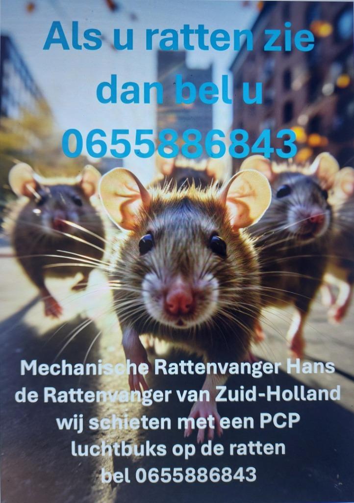 ongediertebestrijding ratten en mollen, Muizen of Ratten