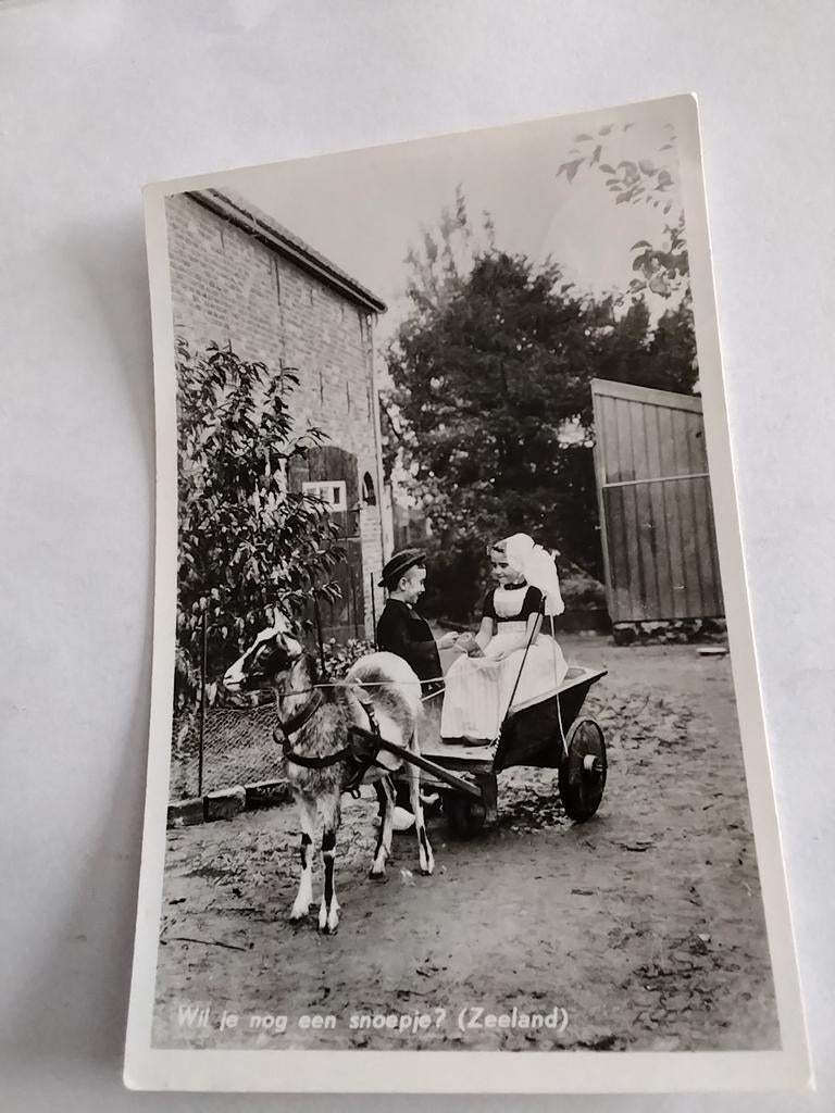 ZEELAND. WIL JE NOG EEN SNOEPJE?, Ophalen of Verzenden, Voor 1920, Klederdracht