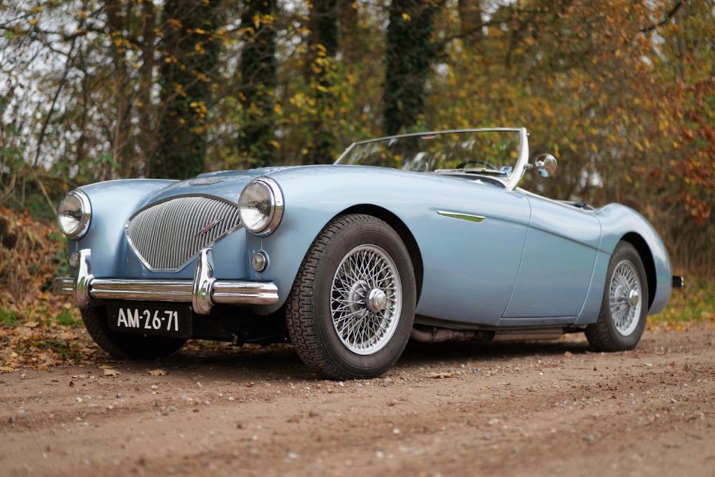 Austin Healey 100/4 BN1 – Le Mans Specification - 1955, Achterwielaandrijving, 4 cilinders, Cabriolet, Blauw
