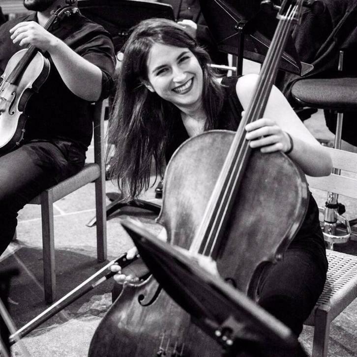 Cellolesen, Komt aan huis, Snaarinstrumenten