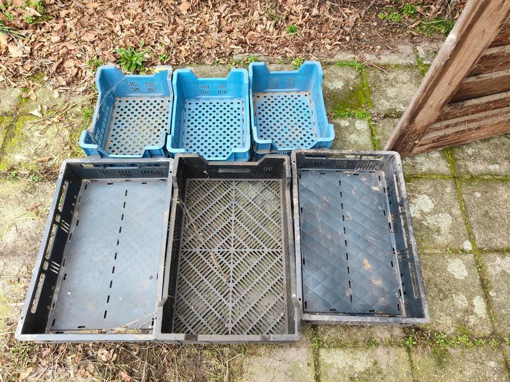 Groente en fruit kratten, Doe-het-zelf en Verbouw, Kratten en Dozen, Ophalen, 40 tot 60 cm, 50 tot 75 cm, Minder dan 35 cm