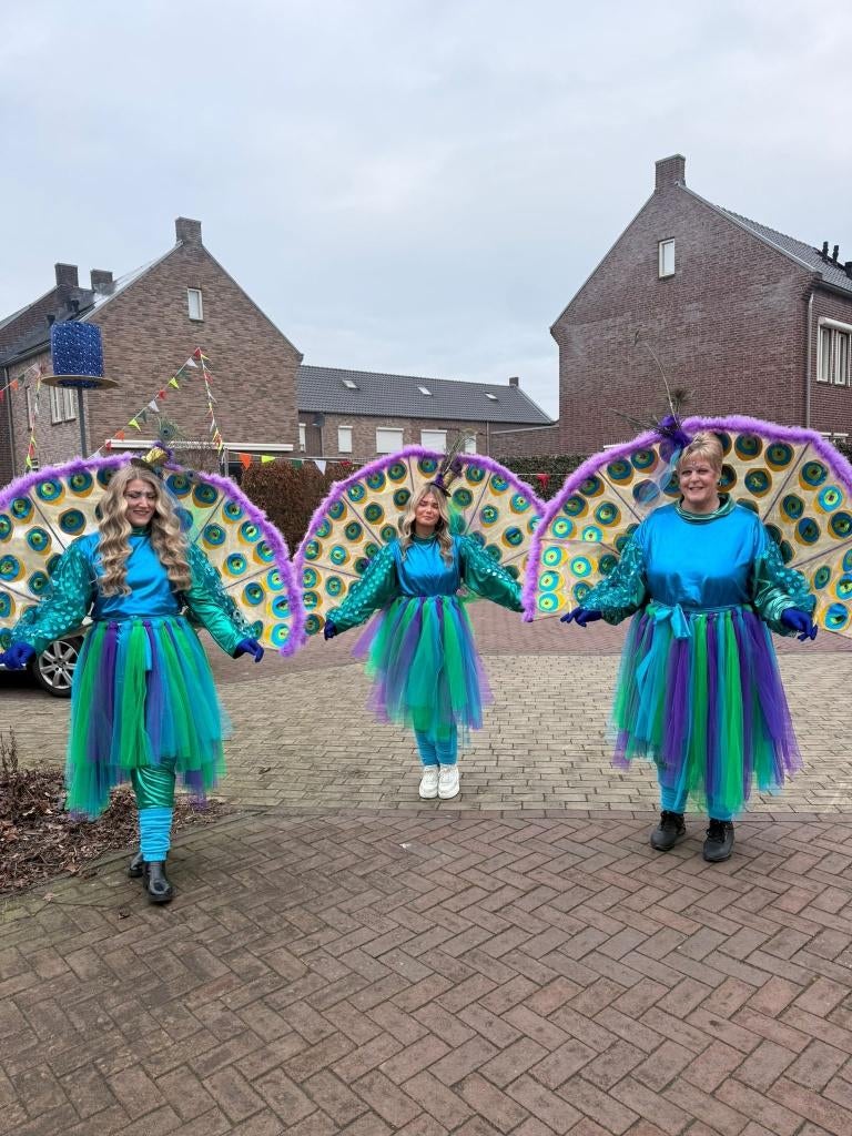 Carnavalspakken te koop, Ophalen, Carnaval, Maat 46/48 (XL) of groter, Zo goed als nieuw