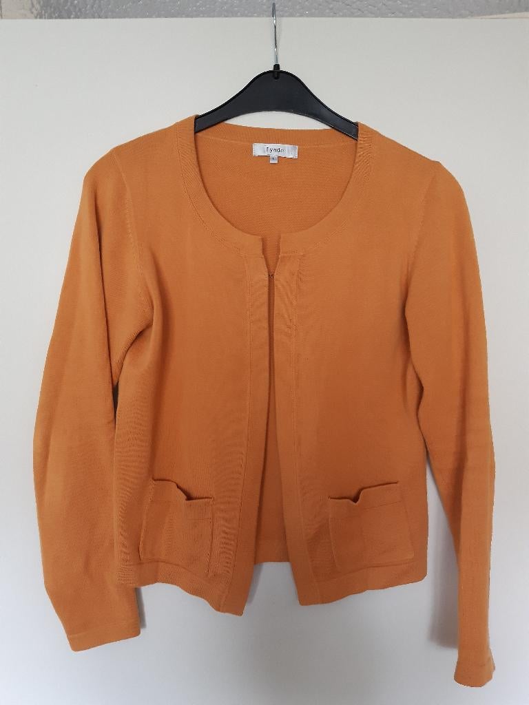 Okergeel vest van Lynde; maat L **, Kleding | Dames, Geel, Maat 42/44 (L), Ophalen of Verzenden, Zo goed als nieuw
