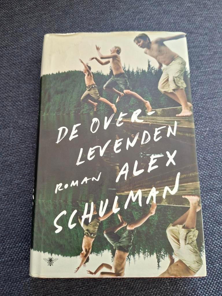 Alex Schulman - De overlevenden, Boeken, Ophalen of Verzenden, Gelezen, Alex Schulman
