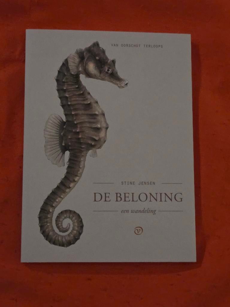 Stine Jensen - De beloning, nieuw, Ophalen of Verzenden, Nieuw, Stine Jensen, Europa