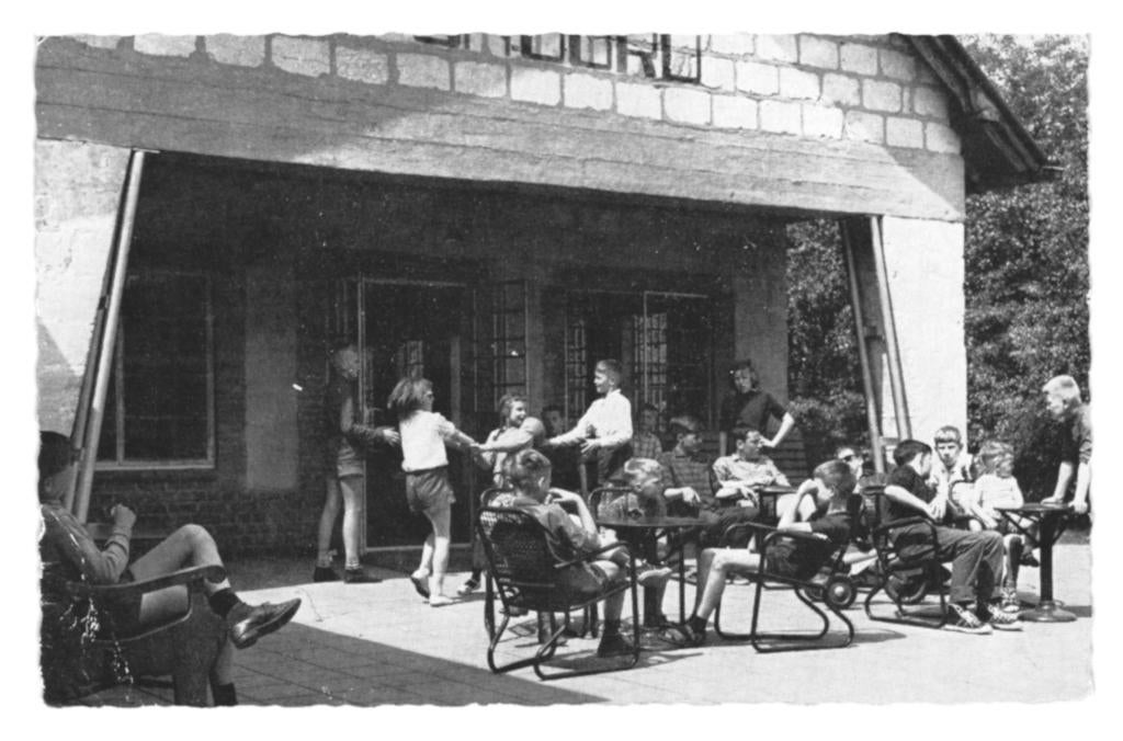 946002 Ermelo Gld 1966 Kamphuis Fijnoord .Gelopen met zegel