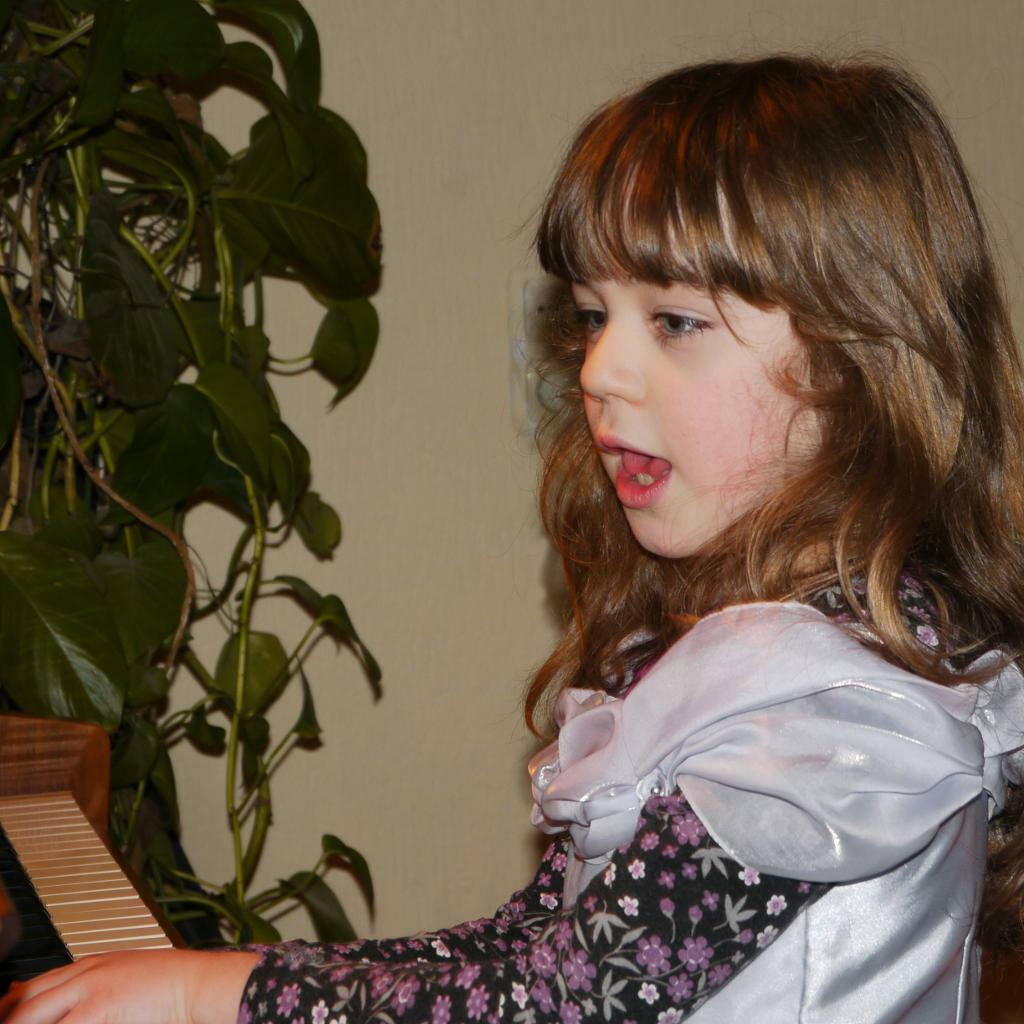 Pianolessen bij Pianisten Klein en Groot  - Den Bosch e.o., Komt aan huis, Toetsinstrumenten