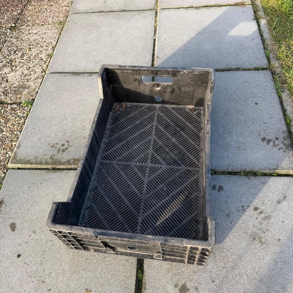15x Bulbfust Stapelkratten Kratten Bakken Krat 60x40x18cm, Doe-het-zelf en Verbouw, Kratten en Dozen, Ophalen, Gebruikt, 40 tot 60 cm