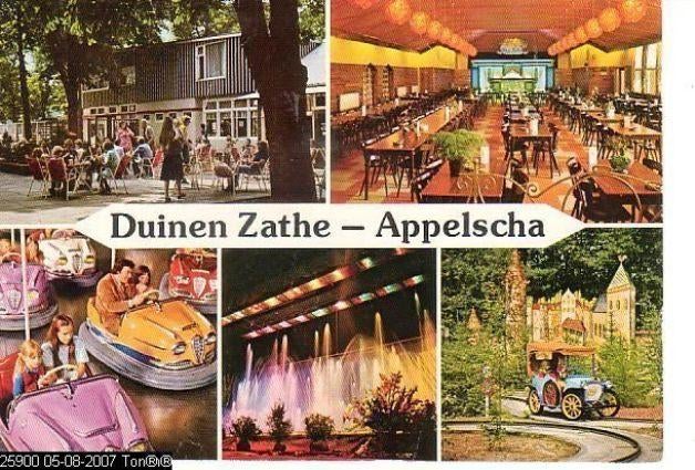Ansichtkaart	Appelscha	Duinen Zathe	5-luik, Ophalen of Verzenden, 1960 tot 1980, Ongelopen, Friesland