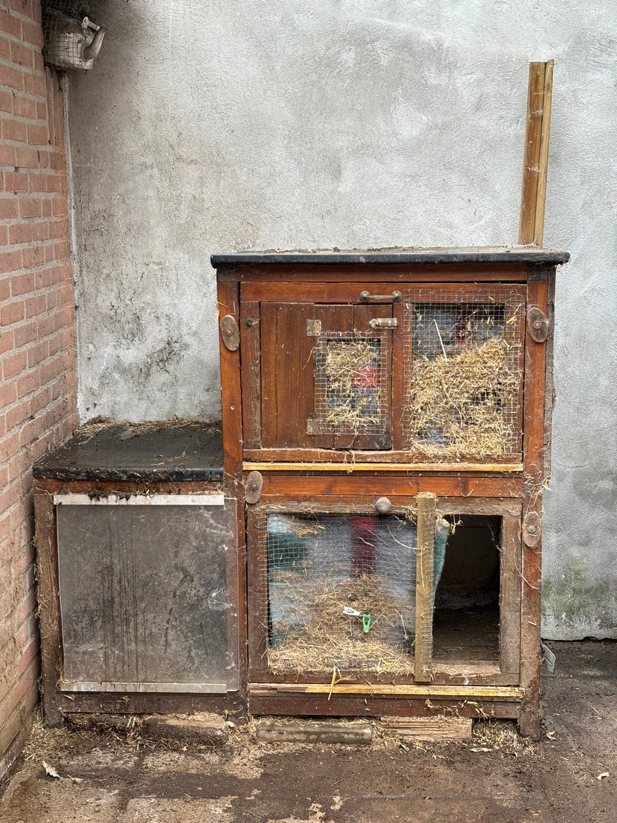 Gratis ruim konijnenhok / kippenhok, Dieren en Toebehoren, Ophalen, Rat, 90 cm of meer, Hok