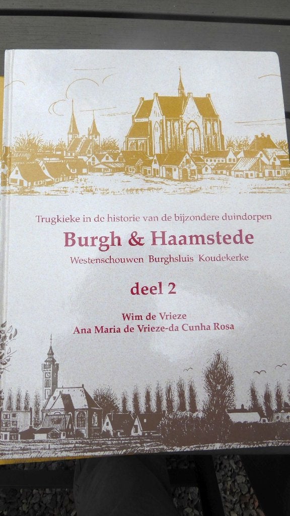 2014 Terugkieke in de historie van Burgh en Haamstede dl.2, Boeken, Ophalen of Verzenden, Zo goed als nieuw