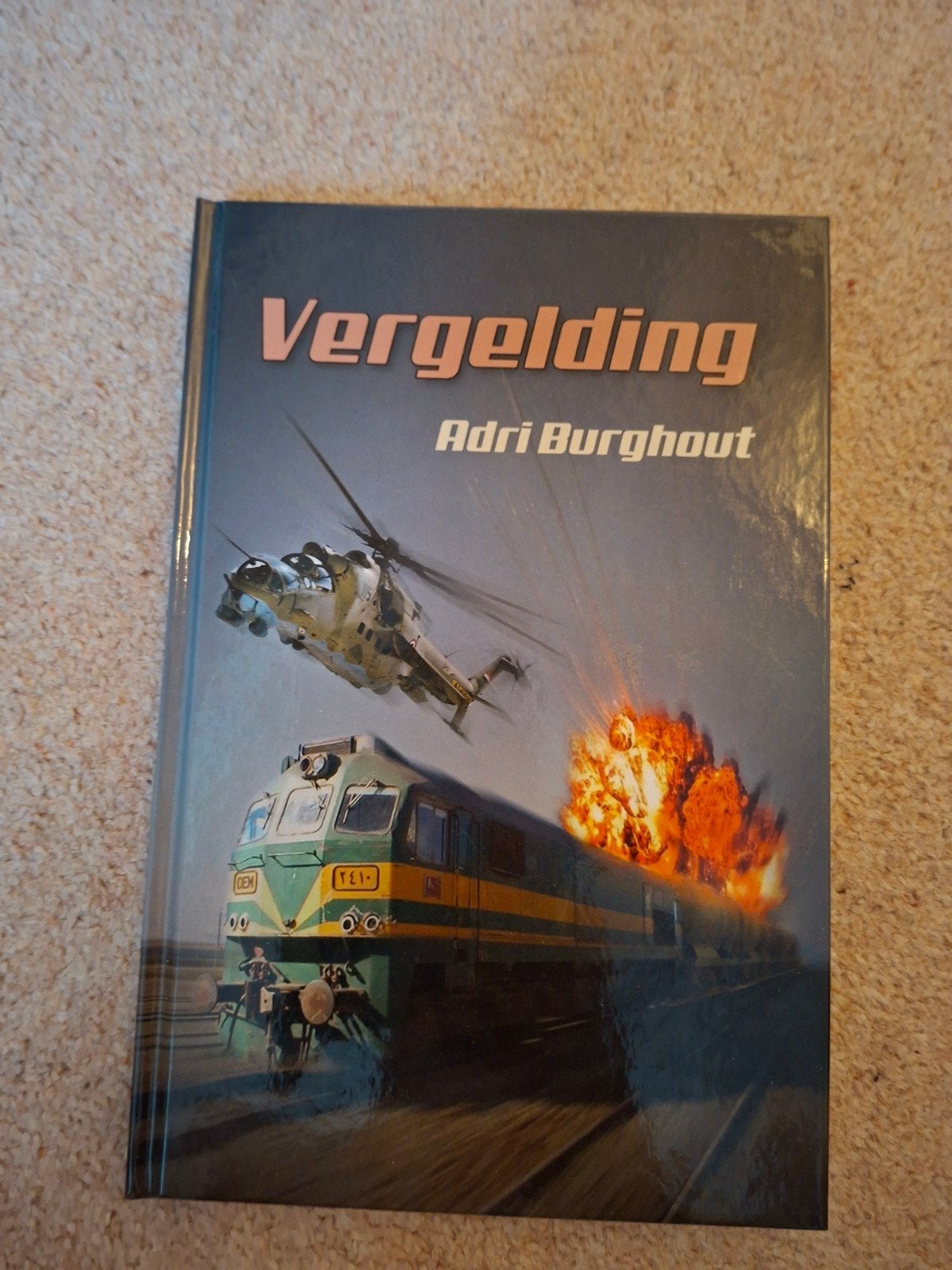 Vergelding - Adri Burghout (Thriller/Actie), Boeken, Ophalen of Verzenden, Zo goed als nieuw, Adri Burghout