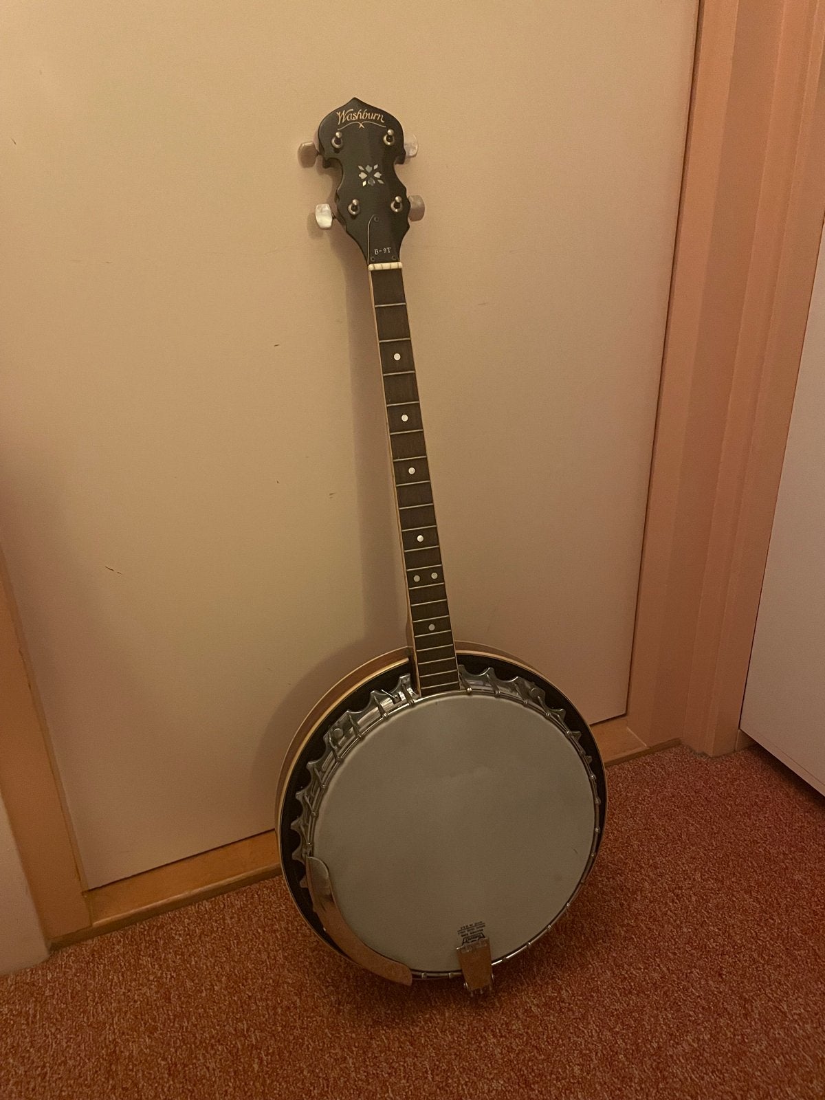 Washburn B-9T Tenorbanjo - opknappertje, Muziek en Instrumenten, Snaarinstrumenten | Banjo's, Ophalen, Gebruikt, Tenorbanjo